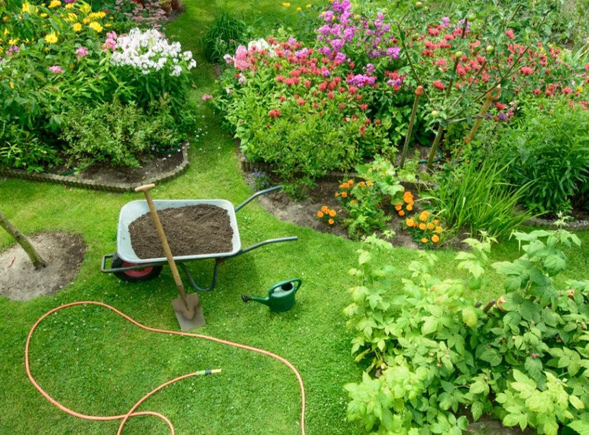 Comment rendre vos voisins jaloux de votre pelouse ?